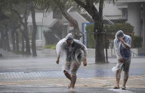 台风提醒短信群发模板